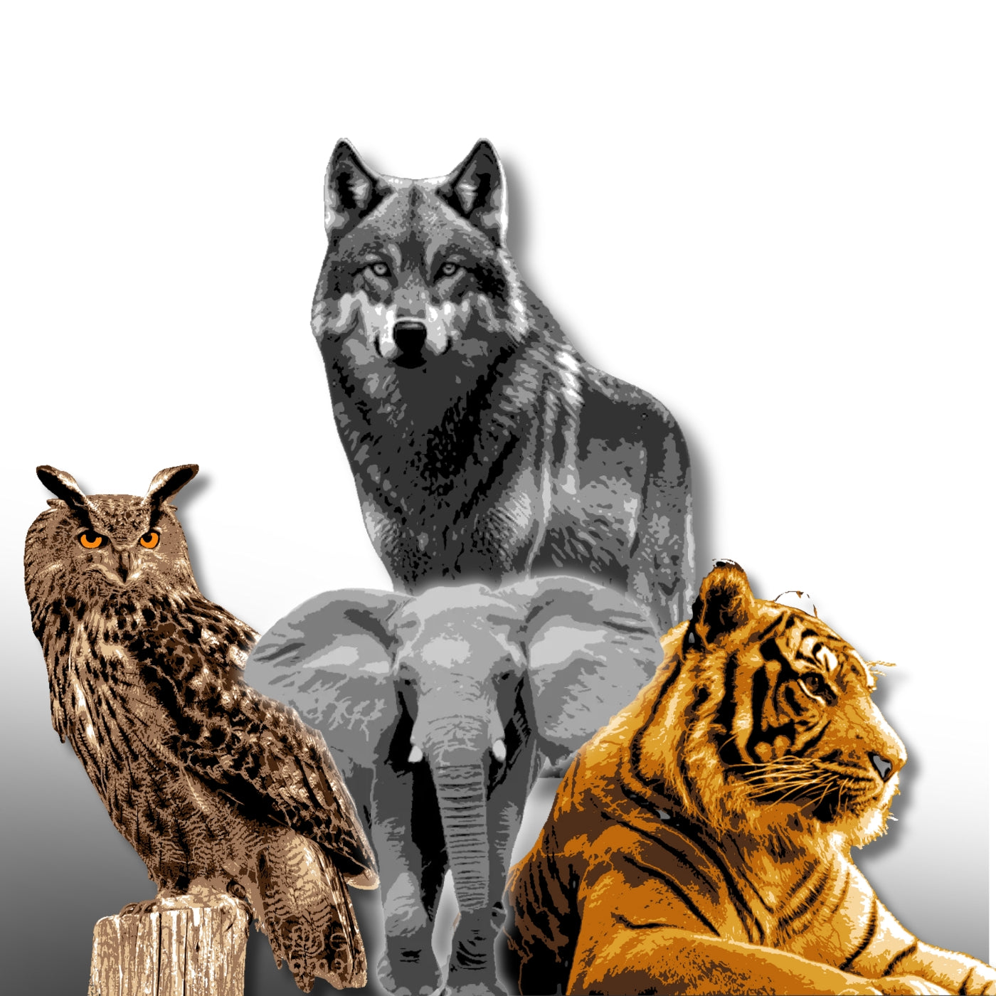 Animals / Nature Stencils